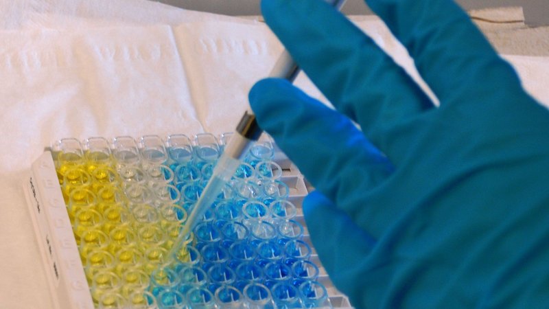 LAB